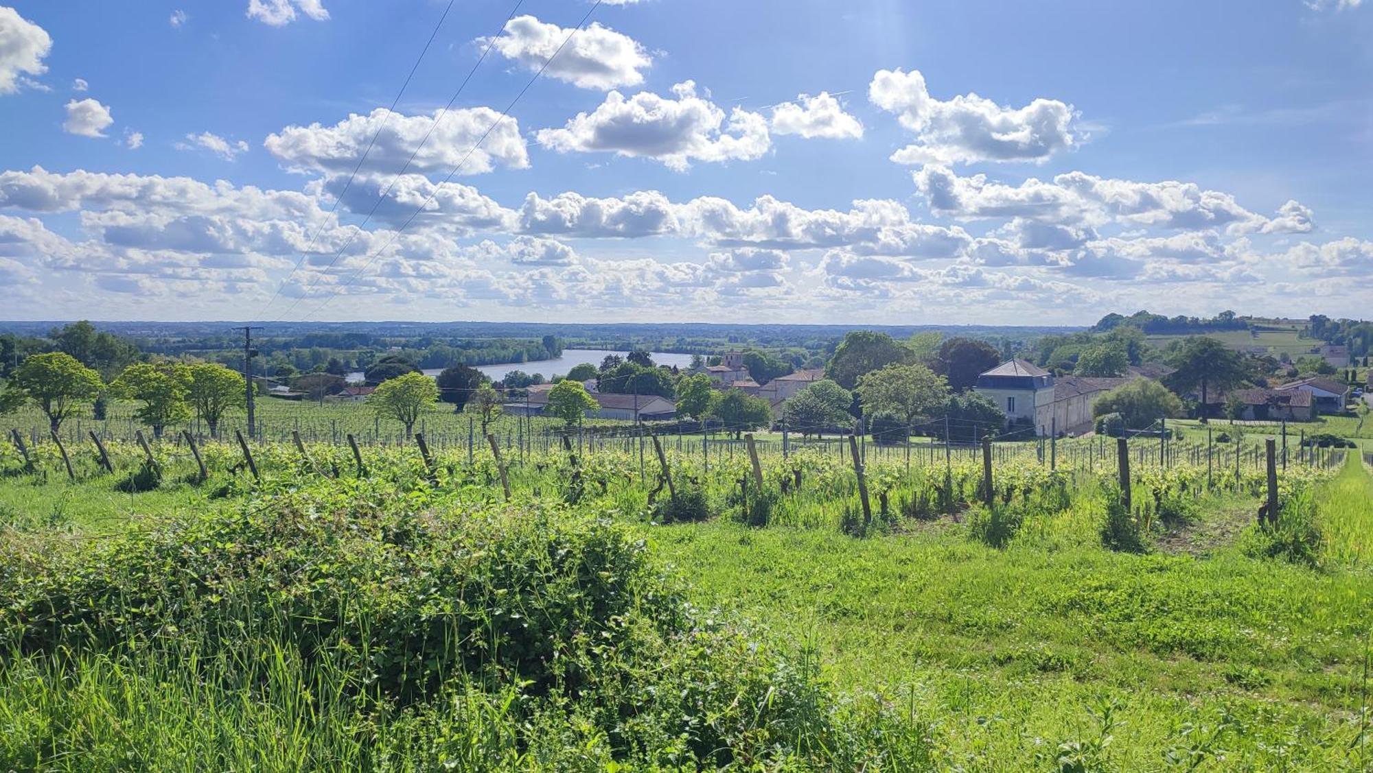 Fronsac  Maison Charmeilles - Gite Touristique - Coliving المظهر الخارجي الصورة