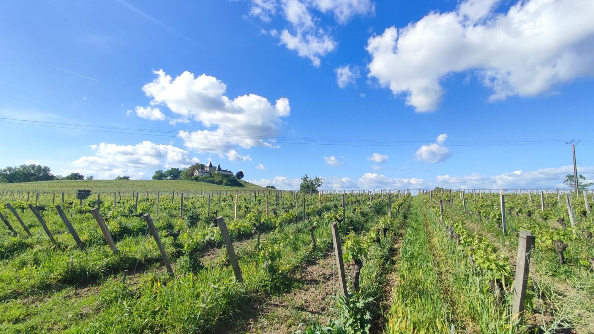 Fronsac  Maison Charmeilles - Gite Touristique - Coliving المظهر الخارجي الصورة